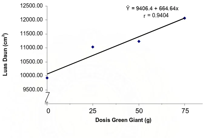 Gambar 2. Hubungan antara luas daun (cm2) dengan perlakuan dosis Green Giant 
