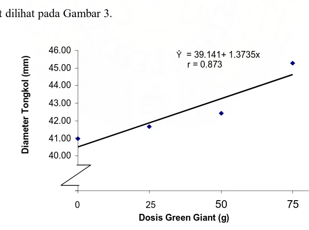 Gambar 3. Hubungan antara diameter tongkol (mm) dengan perlakuan dosis Green Giant. 
