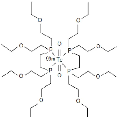 Gambar 1. Struktur kimia (1,2-bis[bis  (2-etoksi etil) fosfino]etana)- 99m Tc 