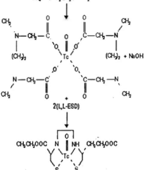 Gambar 1. Reaksi pembentukan 99nITc-L,L-ESD Keberhasilan  penandaan  ESD  dengan 99mTc  dapat  diketahui  dengan  menentukan kemumian  radiokimia  dan  99mTc-L,L-ESD  yang terbentuk