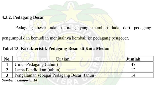 Tabel 13. Karakteristik Pedagang Besar di Kota Medan 