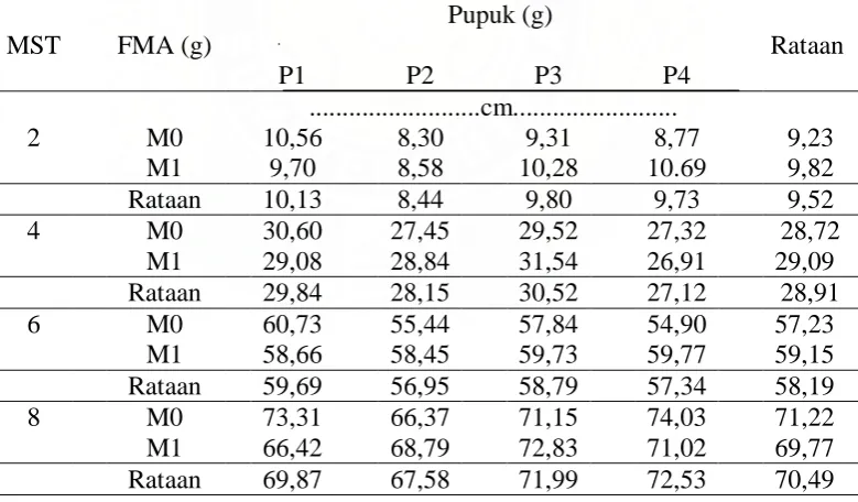 Tabel 1. Tinggi Tanaman pada perlakuan inokulan FMA dan Pupuk.  