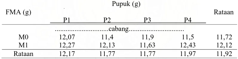 Tabel 2. Jumlah cabang produktif pada perlakuan inokulan FMA dan Pupuk. 