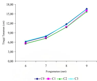 Gambar 2. Grafik Perkembangan Tinggi Tanaman Selada pada Berbagai Tingkat  Dosis Pupuk mikro CuSO4.5H2O dengan Umur 6-9 mst  