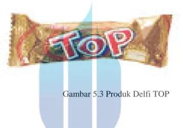 Gambar 5.3 Produk Delfi TOP 