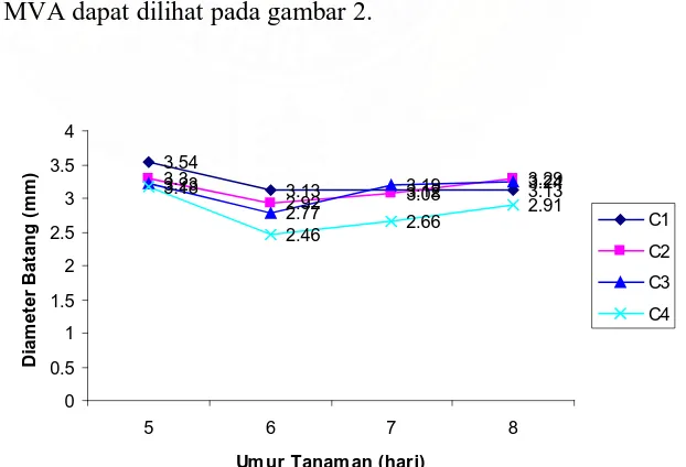 Grafik pertumbuhan diameter batang dari umur 5 MST, 6 MST, 7MST 