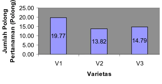 Tabel 7. Rataan Jumlah Polong Pertanaman dalam hubungannya dengan perlakuan pemberian sludge kelapa sawit dan varietas