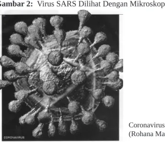 Gambar 2:  Virus SARS Dilihat Dengan Mikroskop Elektron