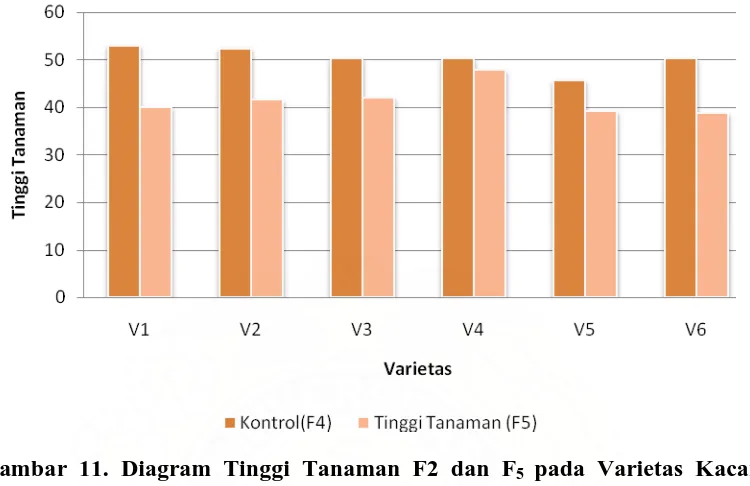 Gambar 11. Diagram Tinggi Tanaman F2 dan F 5 pada Varietas Kacang Hijau.  