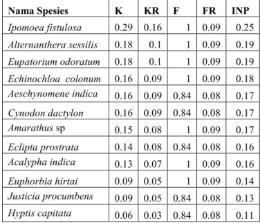 Tabel 4.4 Sruktur vegetasi tumbuhan bawah dan  nilai  Indeks  Nilai  Penting  pada  stasiun 2 Lingkungan Dehualolo 