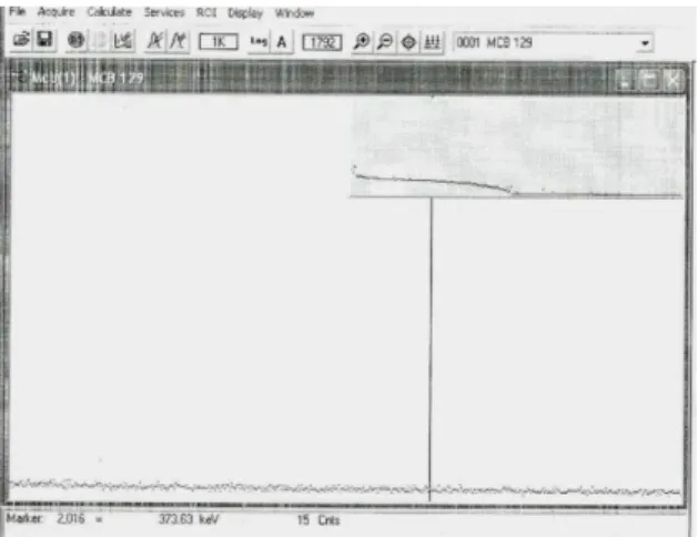 Gambar  7.  Alat  spektrometri  gamma  yang  digunakan  untuk  analisa  kemurnian  radioisotop 32P 