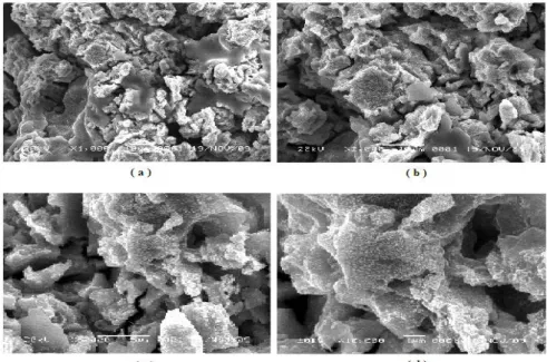 Gambar 3. Bentuk morfologi gel titanium tungstat (a) 1000 x, (b) 2000 x, (c) 5000 x dan (d) 10.000 x