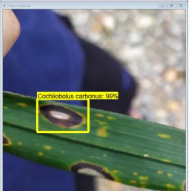 Gambar 9. Hasil deteksi penyakit daun kelapa sawit 