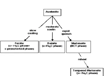 Gambar 2.2. Diagram proses pendinginan fasa austenit (Callister, 1994) 