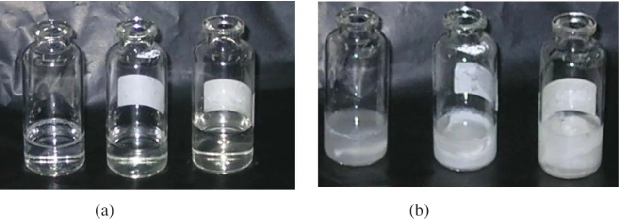 Gambar 2. Reaksi polimerisasi N-isopropylacrylamide. 17