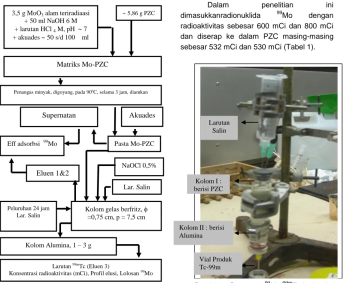 Tabel  1  menunjukkan  efisiensi  penyerapan  ke  dalam  PZC  masing-masing  sebesar  88,6%  dan  66,%  sebagai  campuran  Mo-PZC berada di dalam kolom setelah dicuci  menggunakan larutan NaOCl 0,5% dan salin