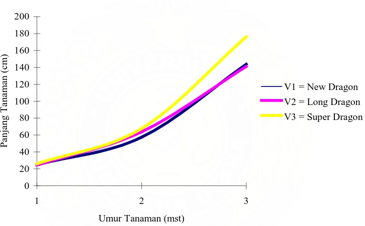 Gambar 1. Grafik Pertumbuhan Panjang Tanaman (cm) Tiga  Varietas Semangka  