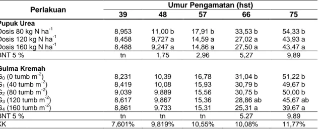 Tabel 1 Rerata Tinggi Tanaman (cm) pada berbagai  Tinggi Pemberian N dan Tingkat Kepadatan  Gulma pada berbagai Umur Pengamatan 