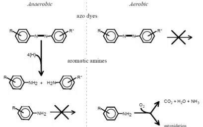 Gambar 2. Pemutusan zat warna azo dan amina aromatik pada pengolahan anaerob-aerob  Sumber : Van der Zee, 2002 