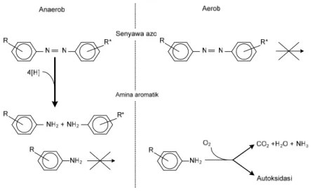 Gambar 1. Pemutusan zat warna azo dan amina aromatik pada pengolahan anaerob-aerob 