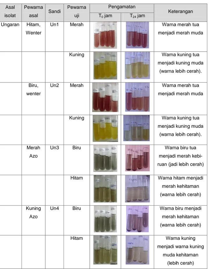 Tabel 3. Kemampuan dekolorisasi pewarna azo oleh ke 10 (sepuluh) isolat  Asal 