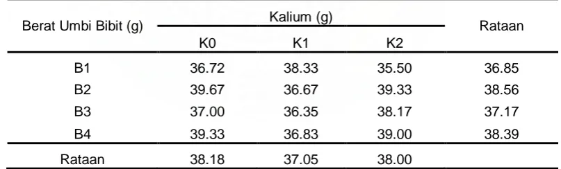Tabel 1. Rataan tinggi tanaman pada umur 10 MST pada berbagai perlakuan berat umbi bibit dan dosis pupuk KCl