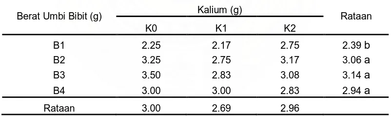 Tabel 2. Rataan jumlah batang utama per sampel pada umur 8 MST pada berbagai perlakuan berat umbi bibit dan dosis pupuk KCl