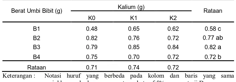 Tabel 3. Rataan berat umbin per sampel pada pada perlakuan berat umbi bibit dan                         dosis pupuk KCl