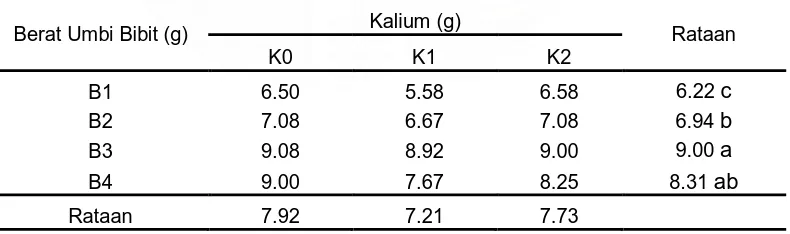 Tabel 5. Rataan jumlah umbi per sampel pada perlakuan berat umbi bibit dan dosis pupuk KCl