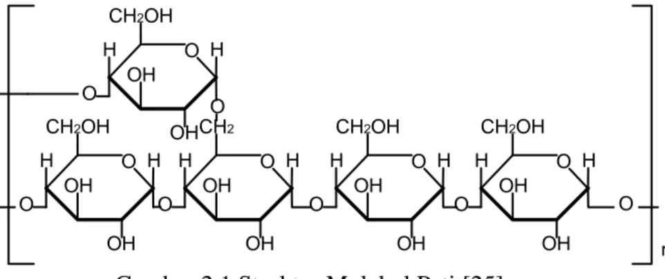 Gambar  2.1  adalah  gambar  struktur  molekul  pati.  Pati  adalah  salah  satu  jenis  polisakarida yang disimpan dalam tanaman sebagai cadangan makanan