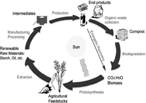 Gambar 2.1 Siklus Produksi dan Degradasi Polimer Biodegradabel [25] 
