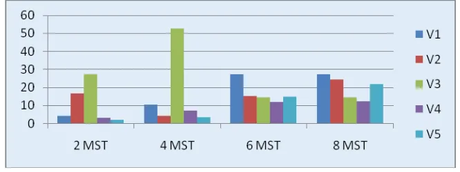 Tabel 2. Rataan Jumlah Anakan Beberapa Varietas Padi Ladang pada 2, 4, 6, dan 8 MST. Varietas 2 MST 4 MST 6 MST 8 MST 