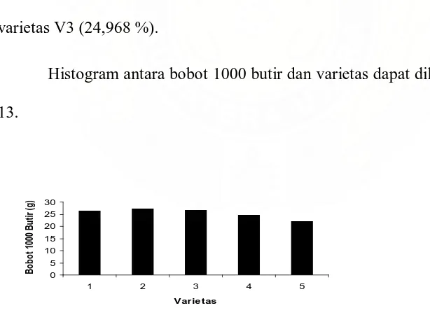Gambar 13. Histogram Bobot 1000 Butir dan Varietas (butir). 