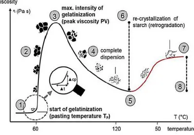 Gambar  2.2 Pengaruh  Temperatur  Gelatinisasi  Terhadap  Viskositas  Pati  [40] 