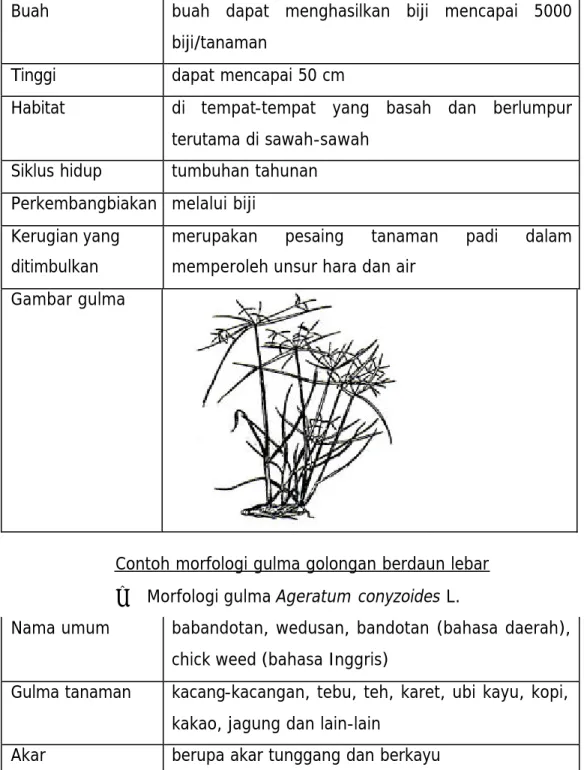Gambar gulma 
