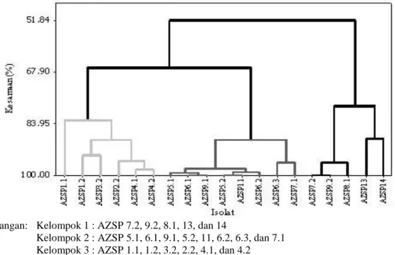 Gambar 3. Dendogram kluster 19 isolat Azospirillum sp berdasarkan kapasitas fiksasi N 2   dan kepadatan bakteri 