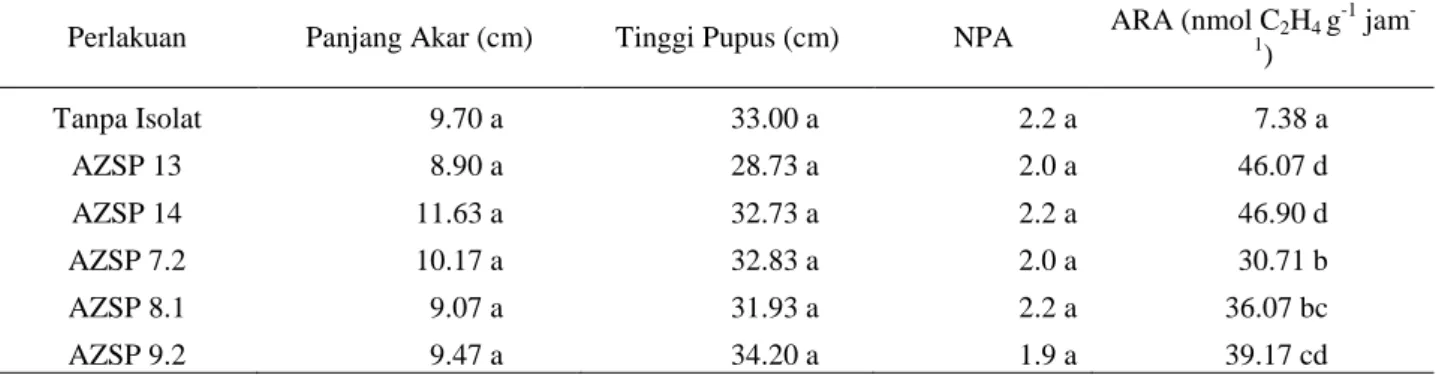 Tabel 4. Pengaruh isolat Azospirillum sp. terhadap panjang akar, tinggi pupus, NPA dan kapasitas memfiksasi N 2  Perlakuan  Panjang Akar (cm)  Tinggi Pupus (cm)  NPA  ARA (nmol C 2 H 4  g -1  jam 