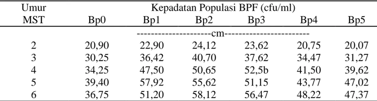 Tabel 4. Rata rata jumlah daun umur 2-6 MST pada berbagai kepadatan populasi       Azotobacter sp