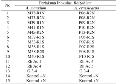 Tabel 1.  Perlakuan inokulasi Rhizobium pada A. mangium dan A. crassicarpa  Perlakuan Inokulasi Rhizobium 