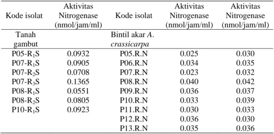Tabel 8. Aktivitas Nitrogenase Rhizobia dari Tanah Gambut dan bintil akar A. 