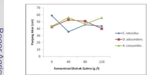Tabel  5.  Pengaruh  Jenis  Gulma  dan  Konsentrasi  Ekstrak  Gulma  terhadap  Panjang Akar Tanaman Tomat pada 12 MST 