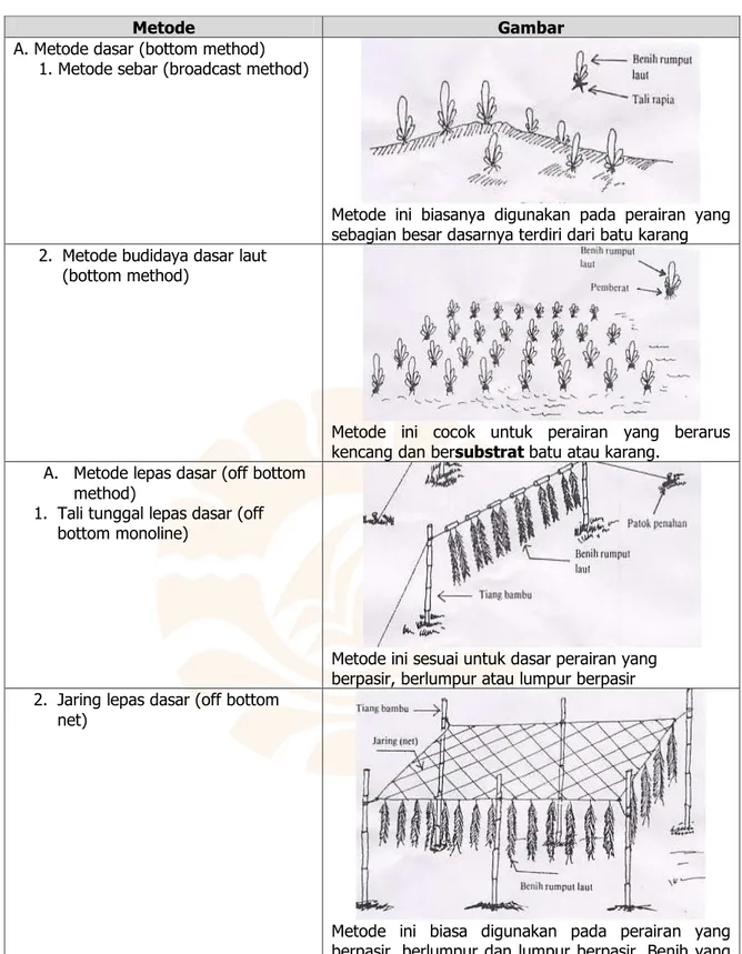 Tabel 1. Beberapa metode budidaya rumput laut yang umum digunakan 
