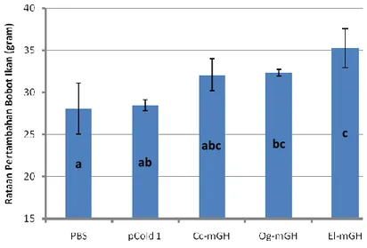 Gambar 16.  Pertambahan  bobot  (g)  ikan  nila  yang  disuntik  protein  rGH  ikan  gurame  (Og-mGH),  ikan  mas  (Cc-mGH)  dan  ikan  kerapu  kertang  (El-mGH)