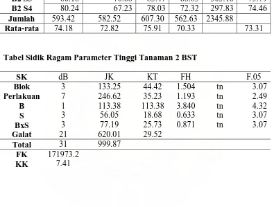 Tabel Sidik Ragam Parameter Tinggi Tanaman 2 BST  