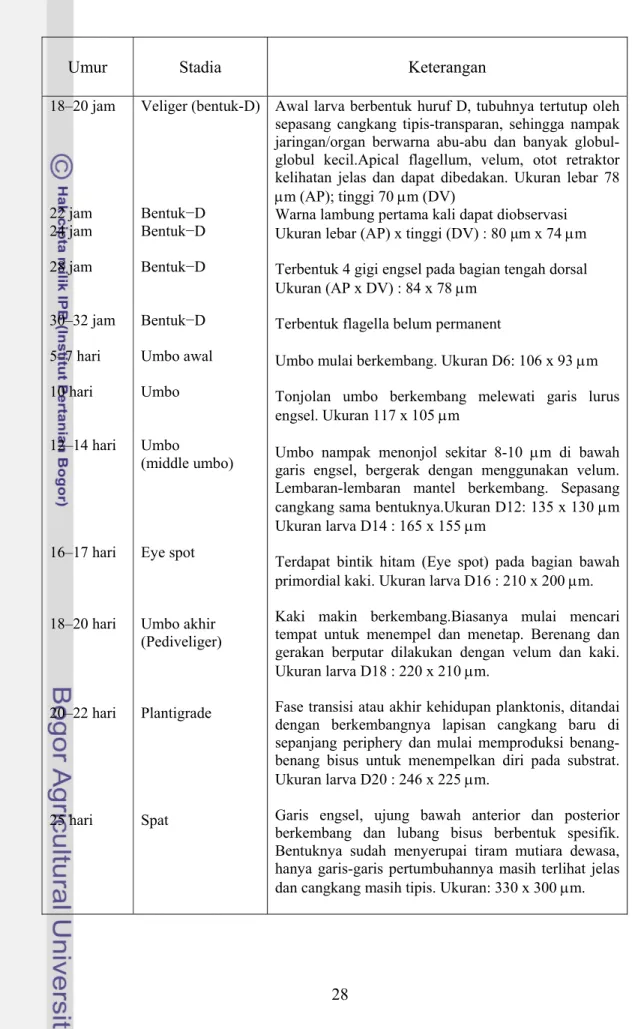 Tabel  2. Diskripsi tahapan perkembangan larva sampai spat P. maxima 