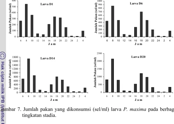 Gambar 7. Jumlah pakan yang dikonsumsi (sel/ml) larva P. maxima pada berbagai   tingkatan stadia
