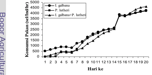 Gambar  9.  Tingkat konsumsi pakan harian larva P. maxima dari stadia veliger (D1)  sampai stadia plantigrade (D20)
