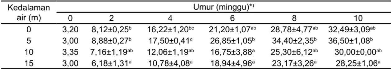 Tabel 1.   Rata-rata panjang cangkang (mm) P. maxima yang dipelihara pada kedalaman yang  berbeda selama 10 minggu.