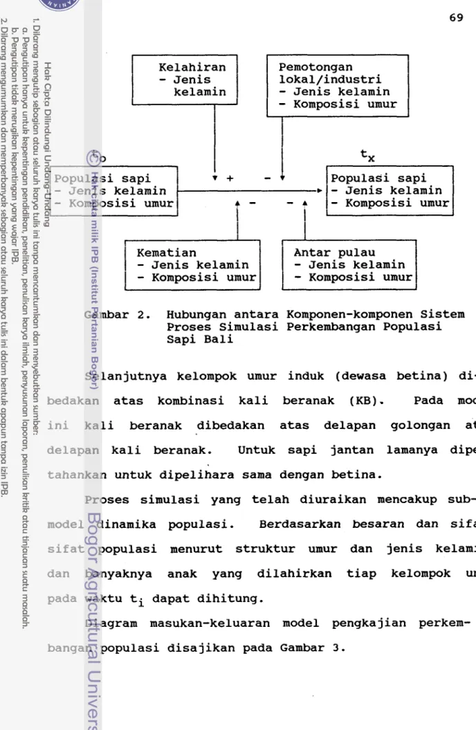 Gambar  2.  Hubungan antara Komponen-komponen Sistem  Proses Simulasi Perkembangan Populasi  Sapi Bali 