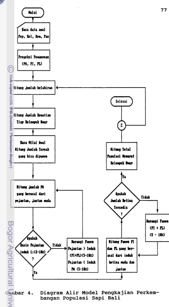 Gambar  4.  Diagram Alir Model Pengkajian Perkem-  bangan Populasi Sapi Bali 